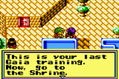 Revelations : The Demon Slayer (GBC)