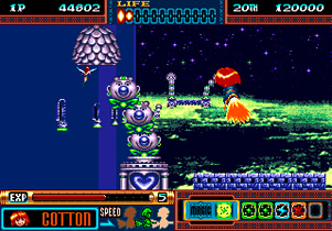 Panorama Cotton (MD - 94)