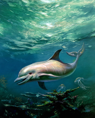 Ecco Defender for the Future by Boris