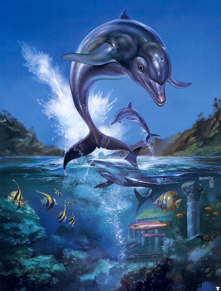 Ecco the Dolphin by Boris (MD US & EUR)